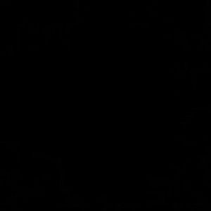 Meet your Posher, Lillie